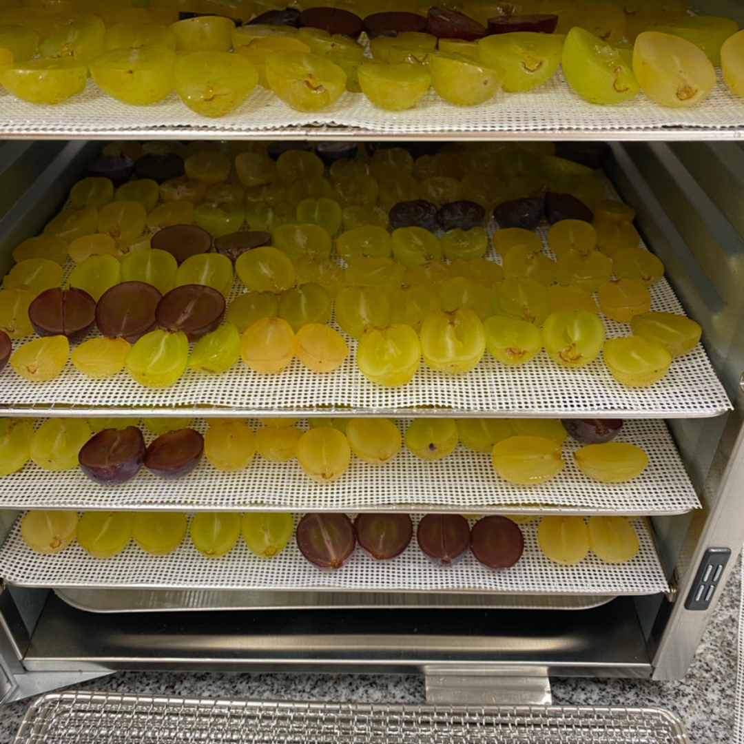 農家直送セミドライぶどう|自然の甘みを凝縮した贅沢2種の食べ比べ