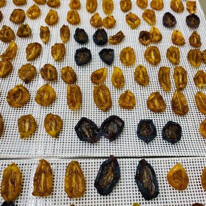 農家直送セミドライぶどう｜自然の甘みを凝縮した贅沢2種の食べ比べ