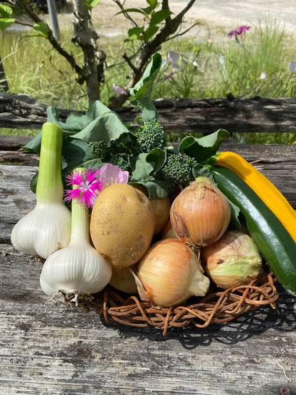 【夏のごちそう便】旬野菜たっぷり！しまなみ幸せBOX（2kg・クール便）