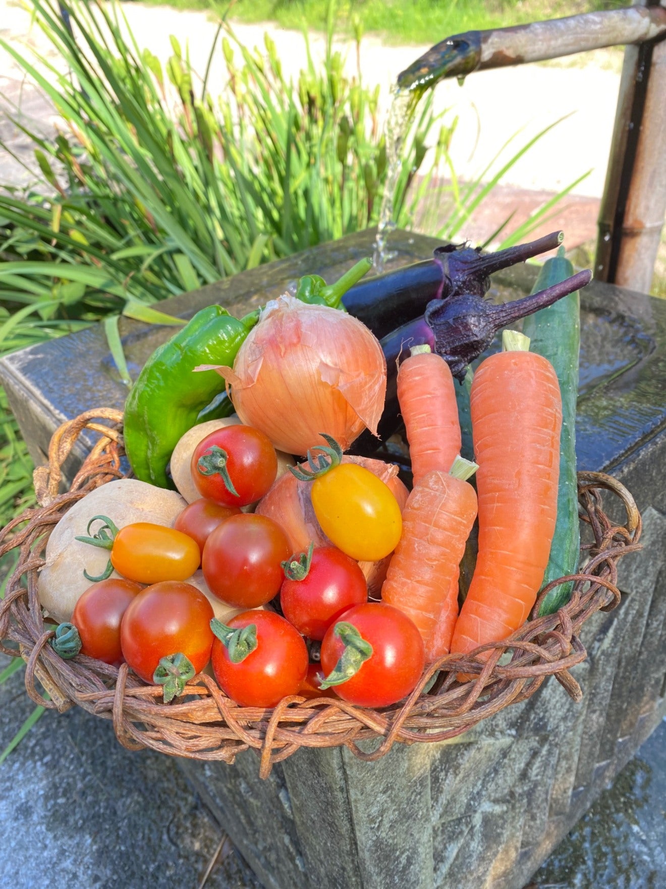 【夏のごちそう便】旬野菜たっぷり！しまなみ幸せBOX（2kg・クール便）